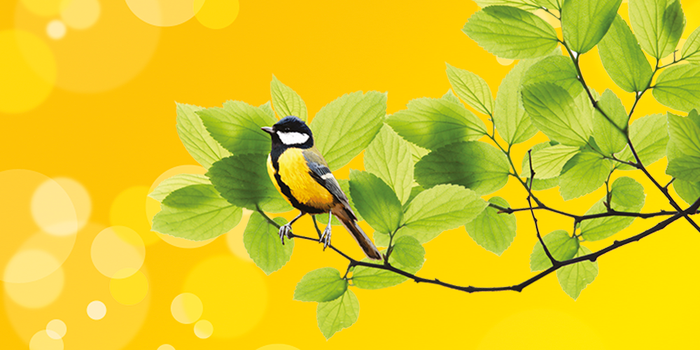 Единый онлайн-семинар 1С: всё для бухгалтера, руководителя и кадровой службы – лайфхаки и защита от штрафов