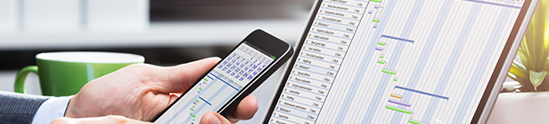 Задачи и проекты в Битрикс24